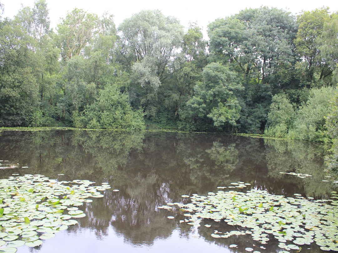 Spanbroekmolen Mine Crater景点图片