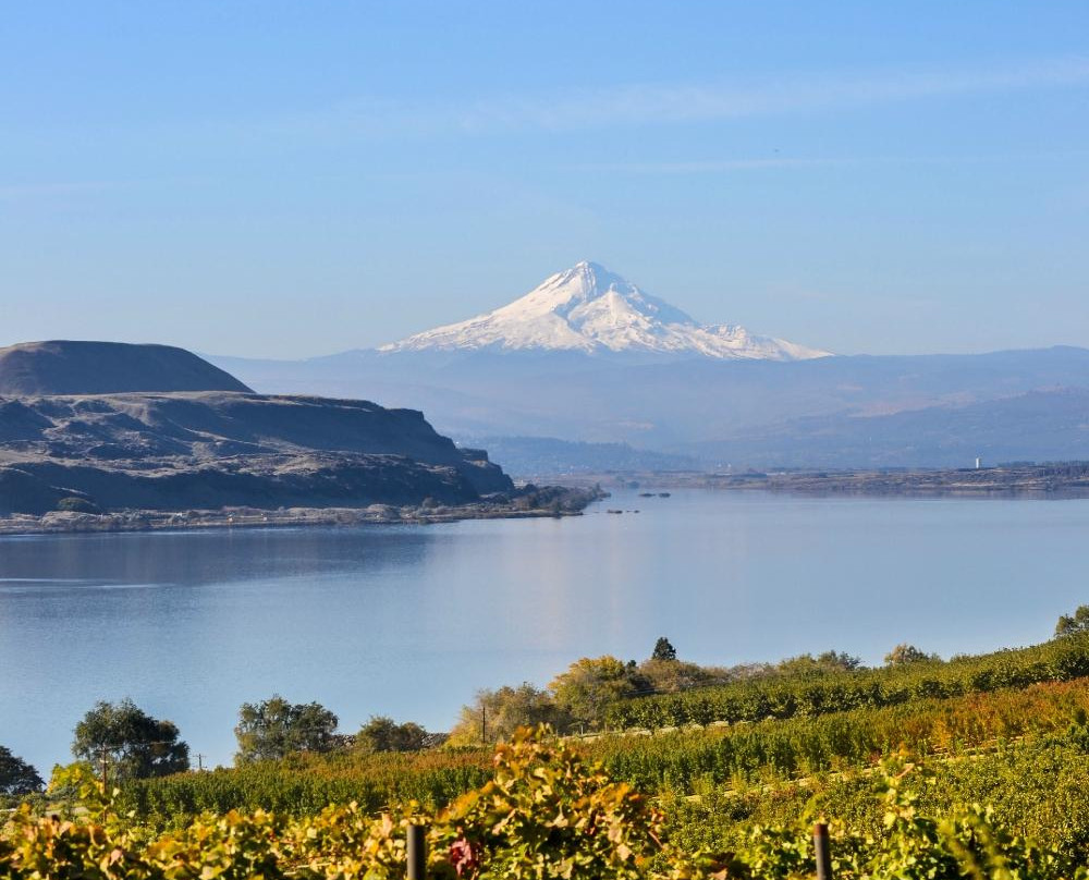 Jacob Williams Winery景点图片