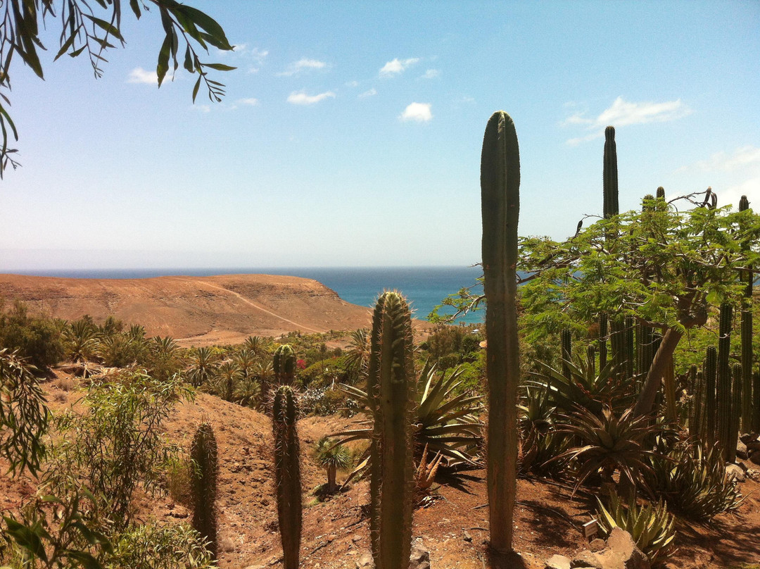 Oasis Park Fuerteventura景点图片