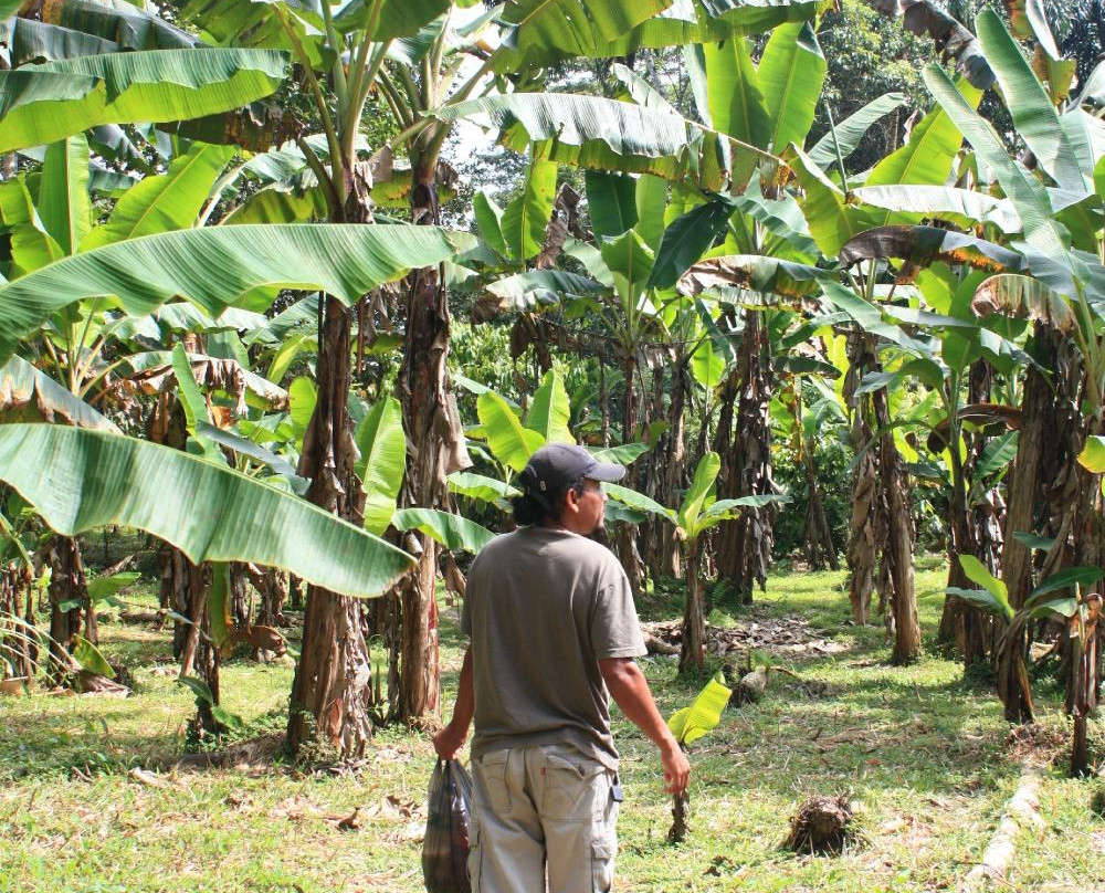 Gary's Tours-Tena必去景点