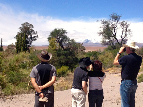 Atacama Loft & Expeditions - Tours-圣佩德罗-德阿塔卡马必去景点