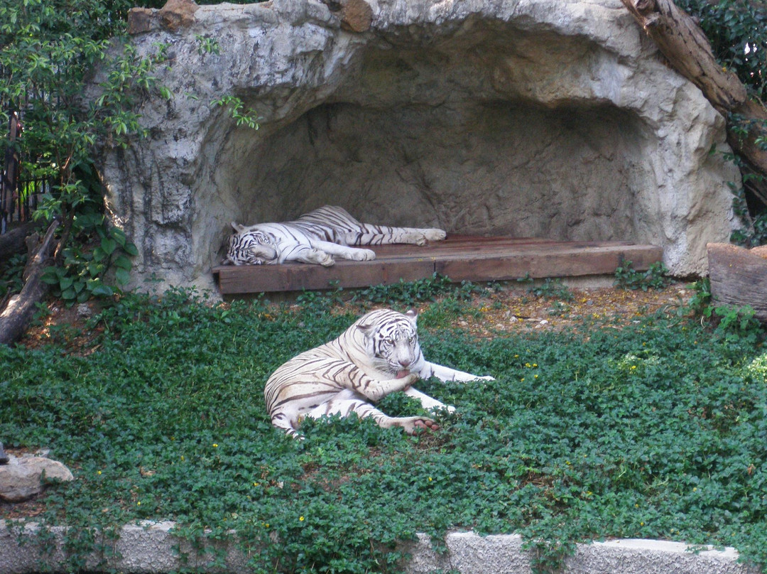 律实动物园景点图片