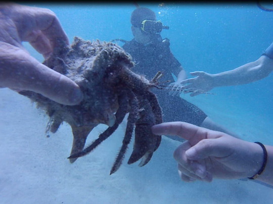 Diver's Request-奥腊涅斯塔德必去景点