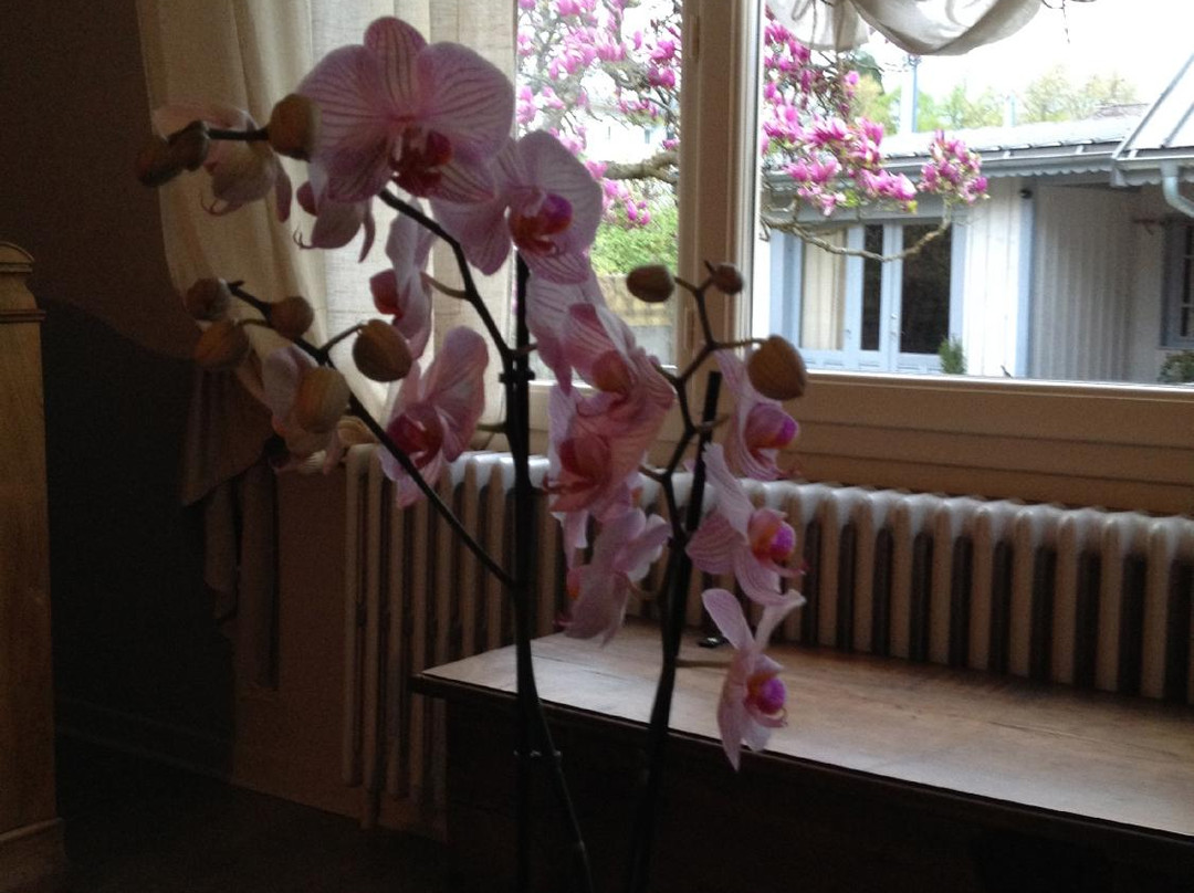 Les Chambres de Pauline主图