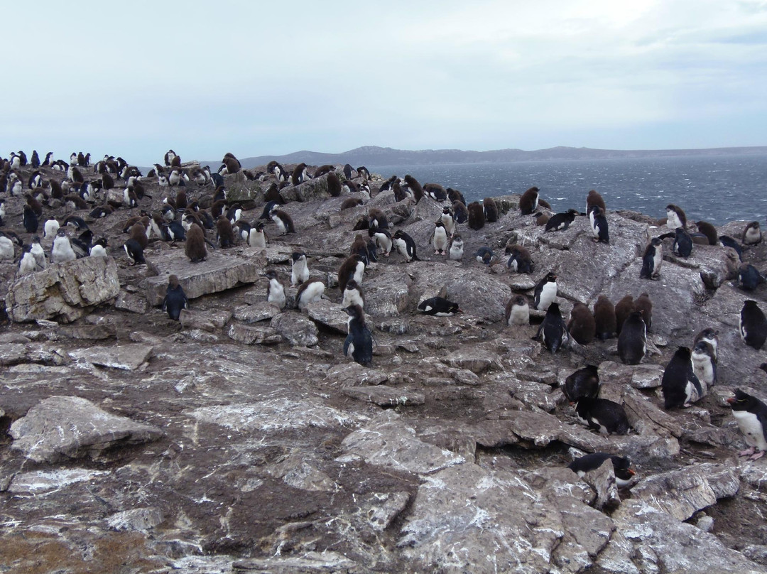 Kidney Cove Tours景点图片