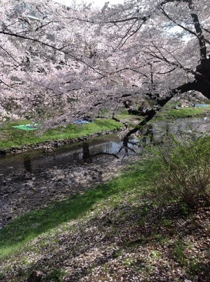 Tachikawa Park-立川市必去景点