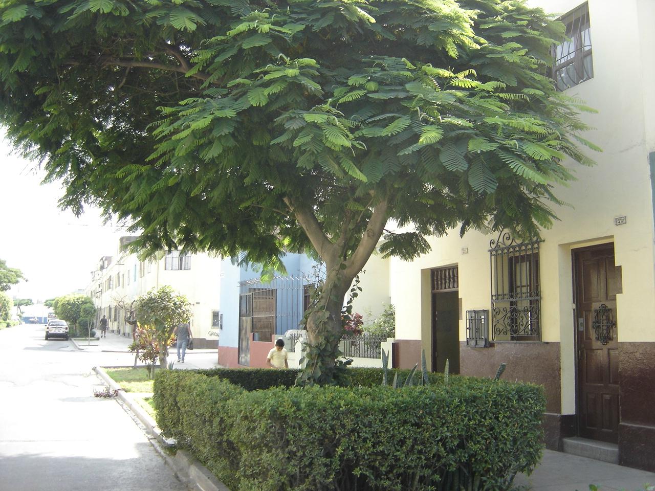 Casa Ana-官方