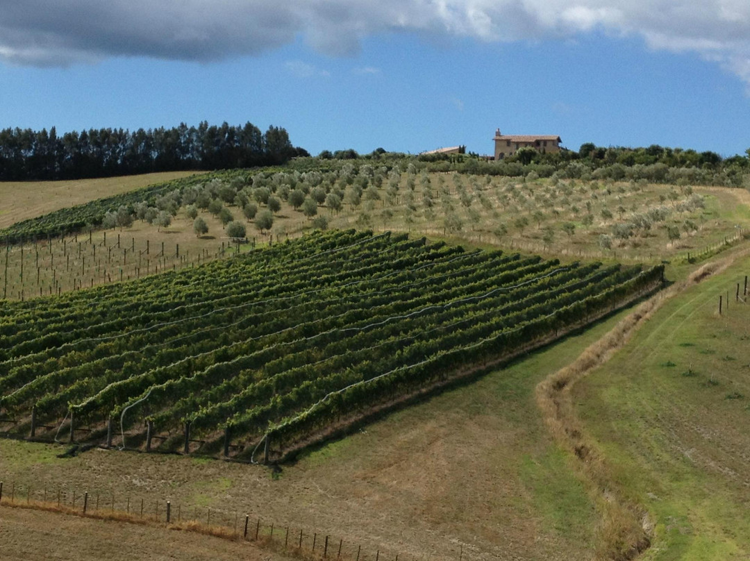 豪拉基湾-奥克兰中心地区必去景点
