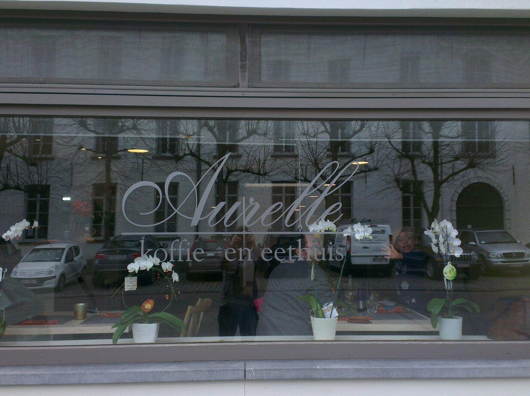 Drongen餐馆和美食-Aurelle Brasserie