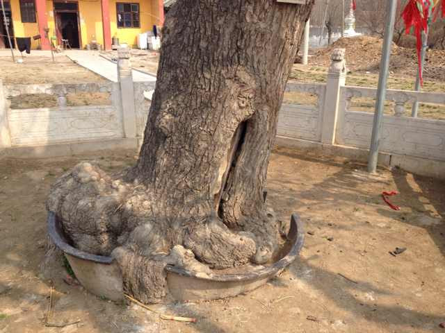 商丘白云寺-民权县必去景点