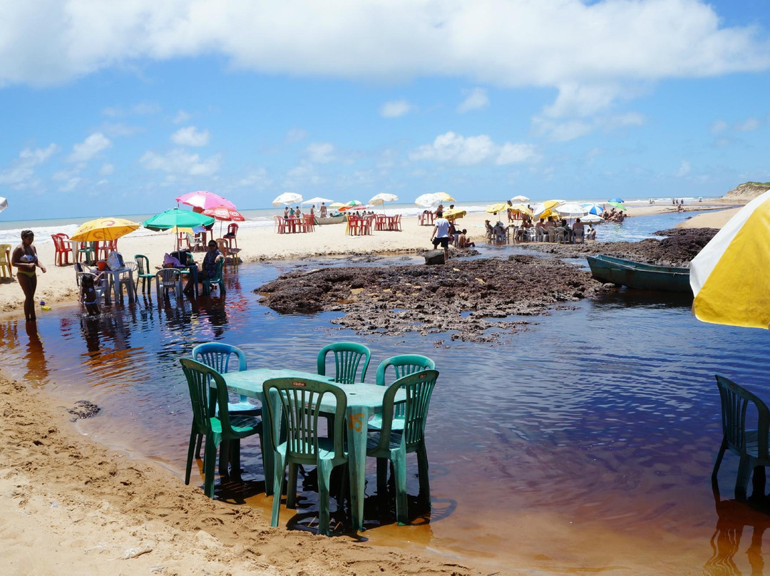Praia Riacho Doce景点图片