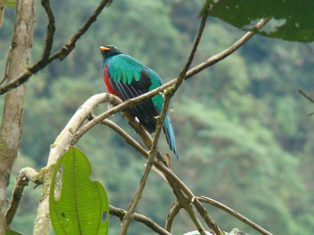 Tambo Tanda-基多必去景点