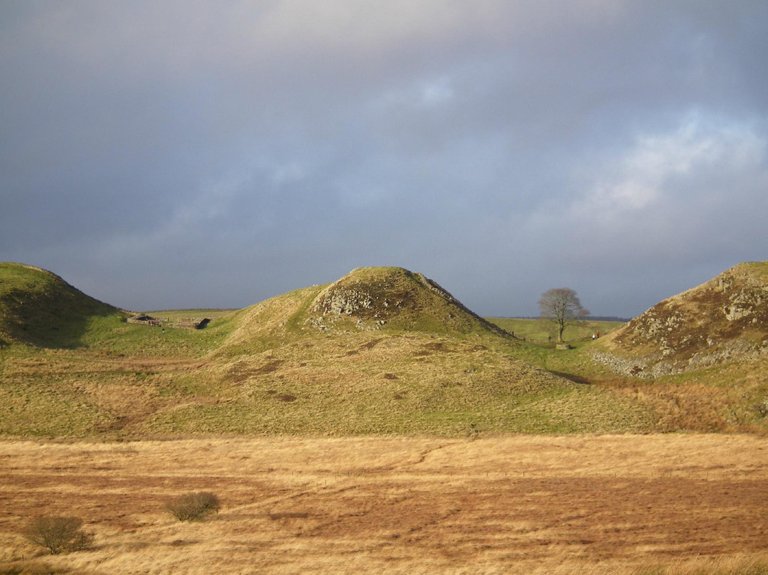 Sycamore Gap-Northumberland National Park必去景点