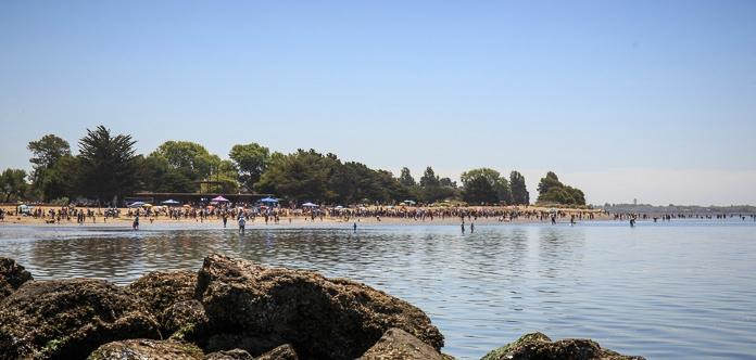 Crab Cove Visitor Center景点图片