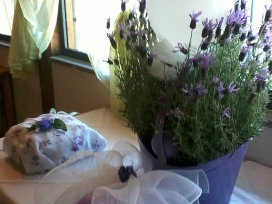 Bagnolo Ristorante Pizzeria Griglieria