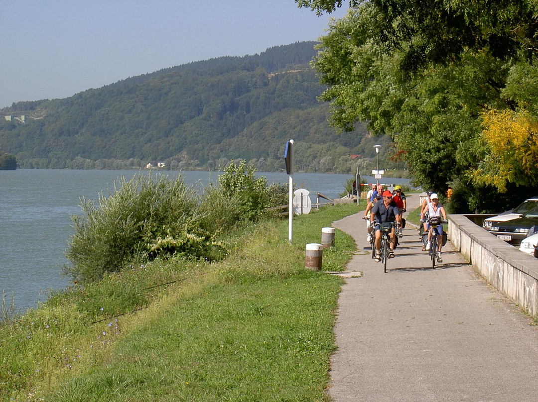 Marbach an der Donau旅游攻略图片