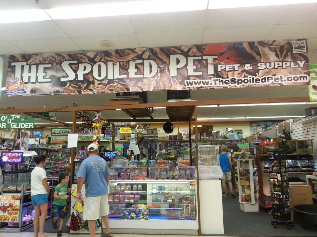 The Spoiled Pet-美特尔海滩必去景点