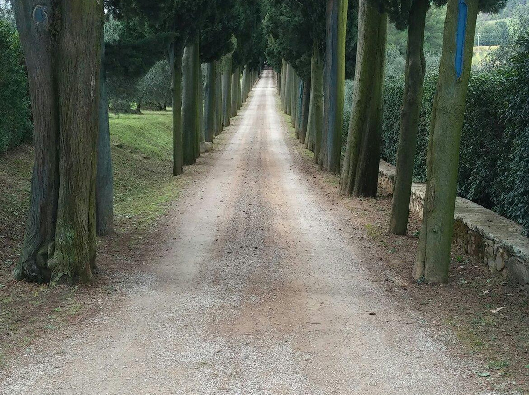 Antinori nel Chianti Classico景点图片