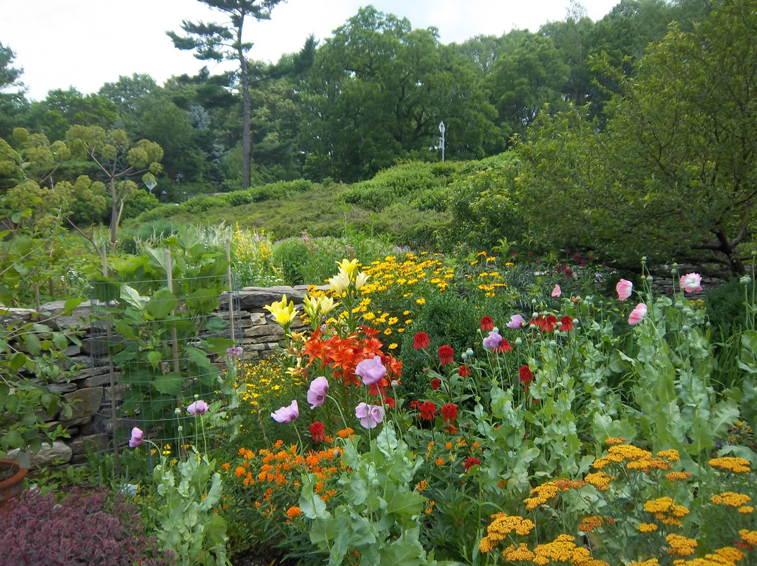 康奈尔大学-伊萨卡必去景点