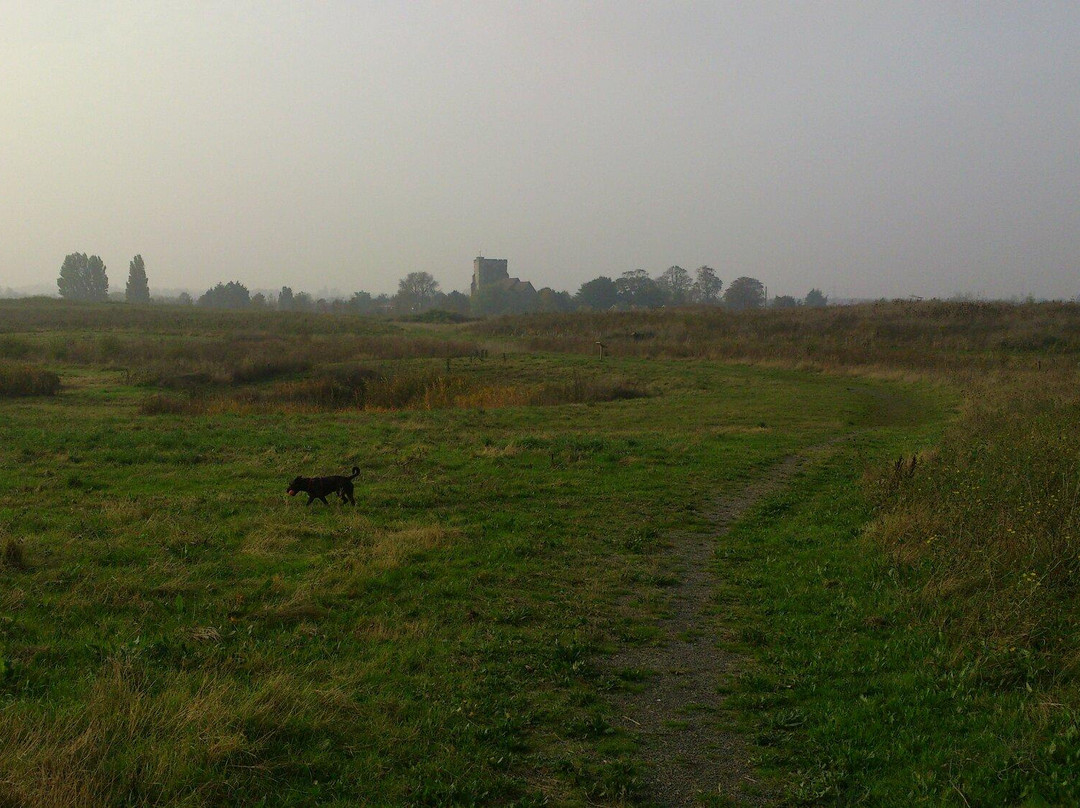 Milton Creek Country Park景点图片