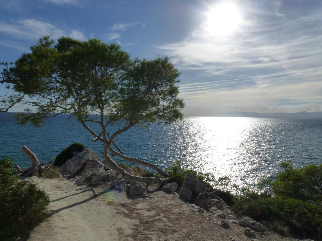 Cala Font景点图片