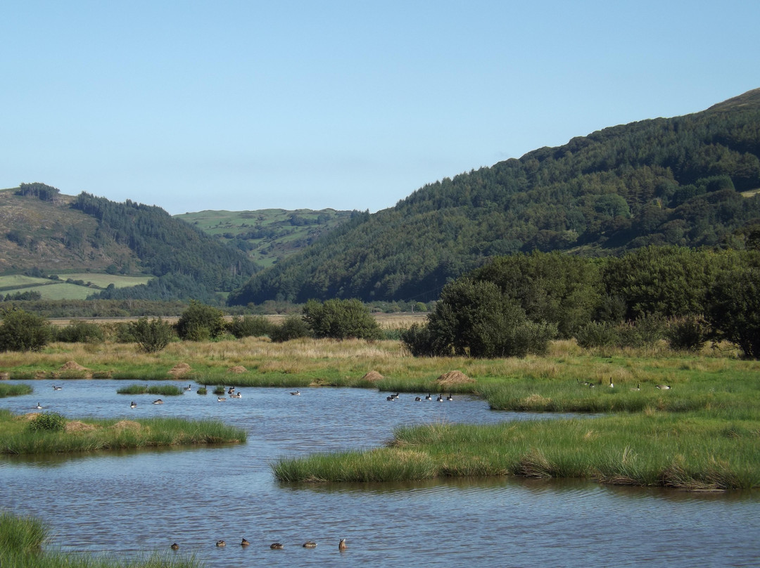 Ynys Hir Wildlife Reserve景点图片