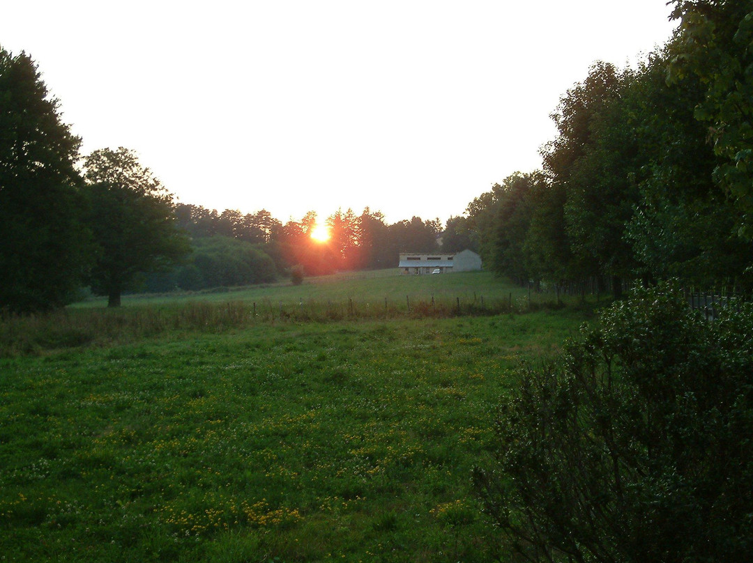 Parco Oldcalabria景点图片