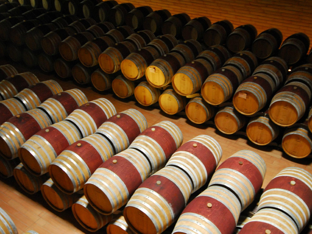 Antinori nel Chianti Classico景点图片