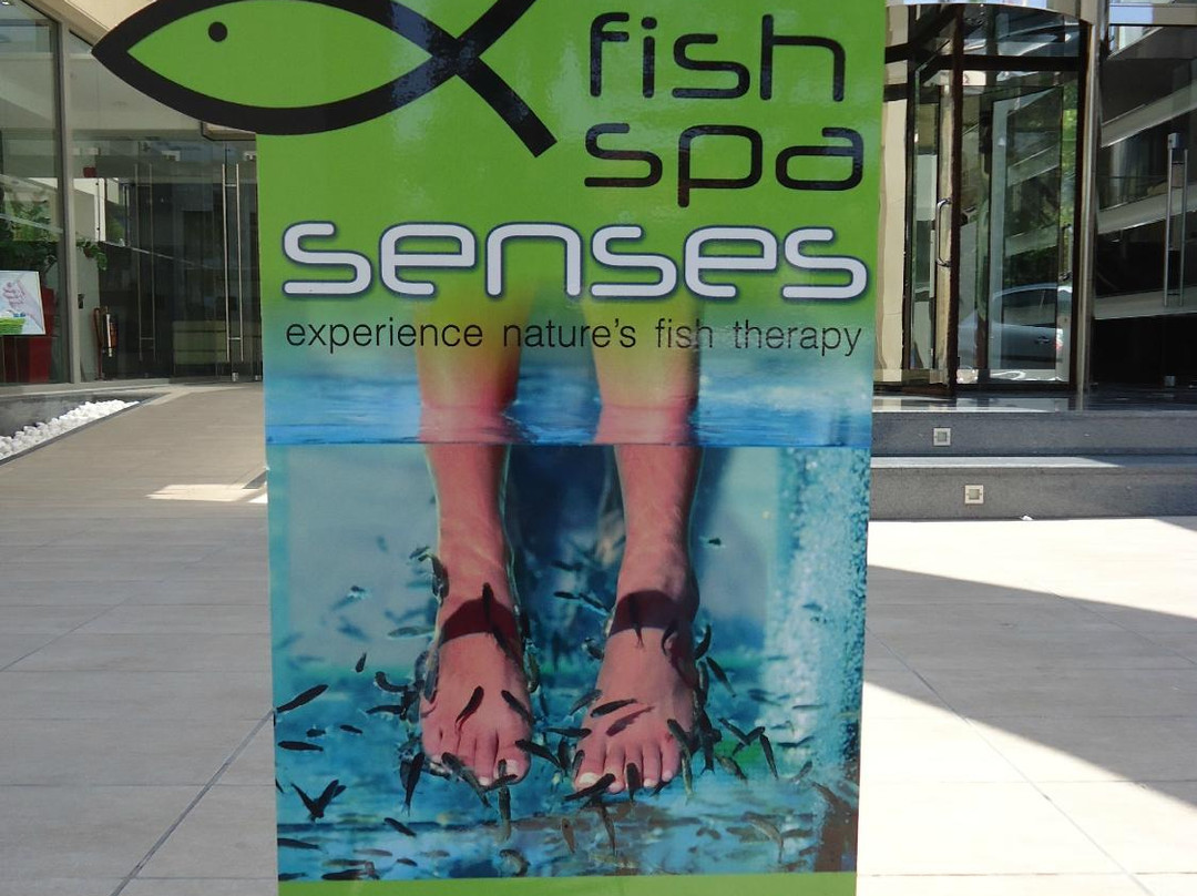 Senses Day Spa-Platanias必去景点