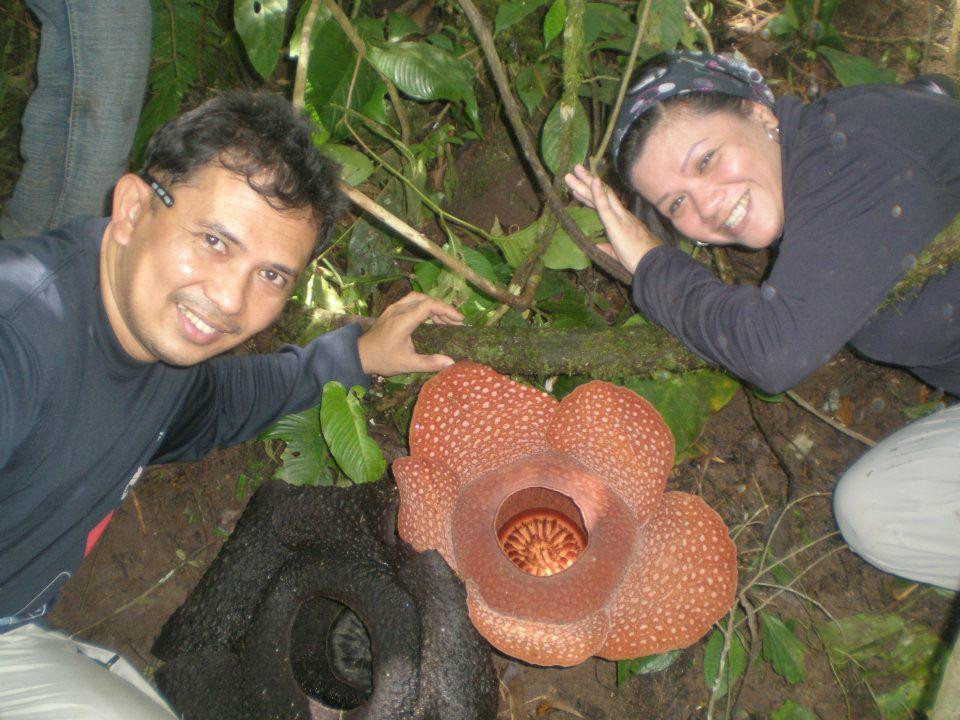 Mt Candalaga-Maragusan必去景点