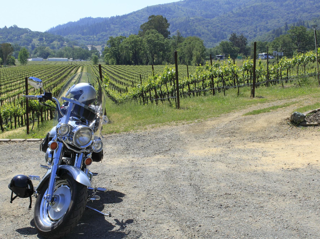 Rivino Winery景点图片