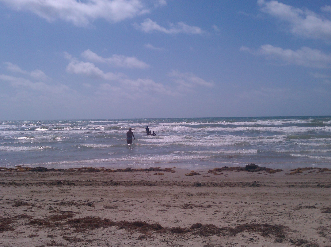 Port Aransas Beach-阿兰瑟斯港必去景点