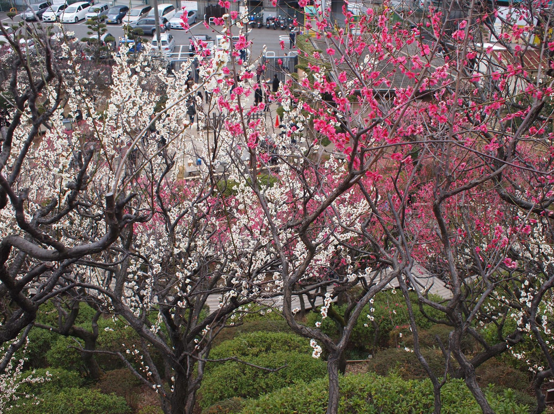 Ikegami Baien-大田区必去景点
