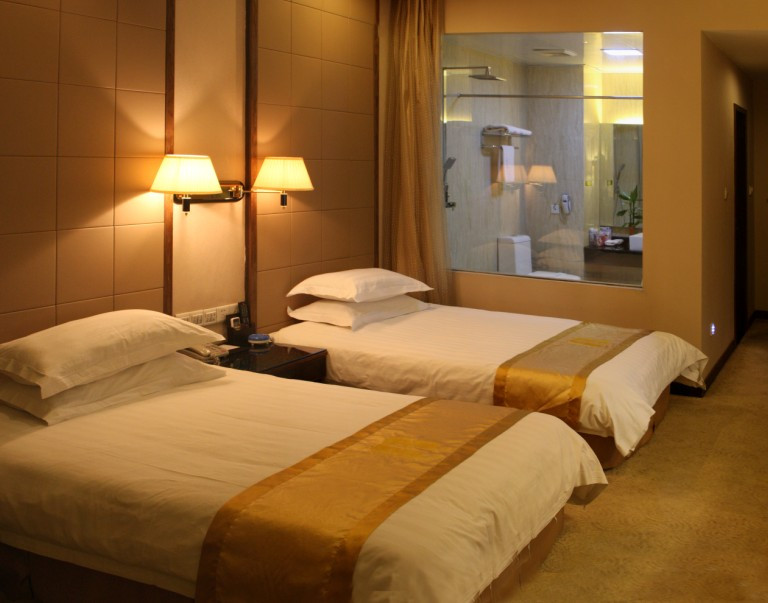 武汉瑞安大酒店雄楚店主图