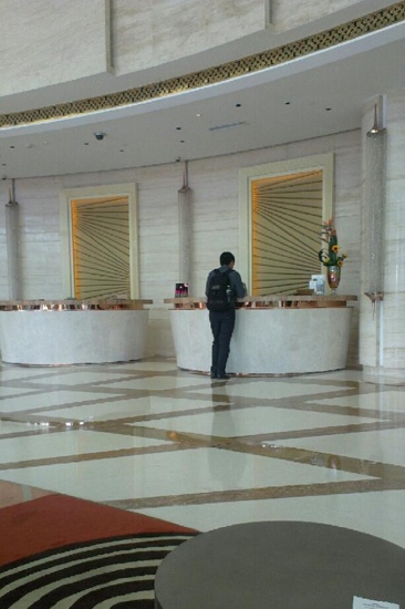 宁波阳光豪生大酒店-客卧