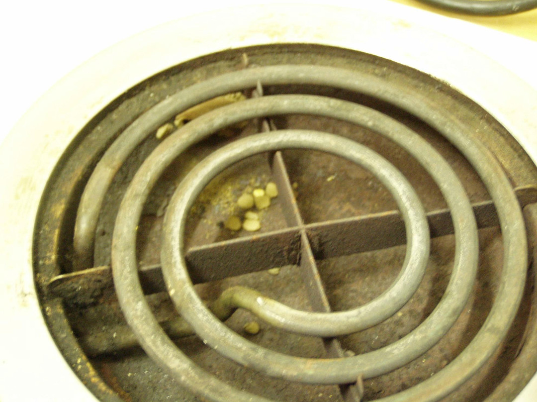 Budleigh Guesthouse主图