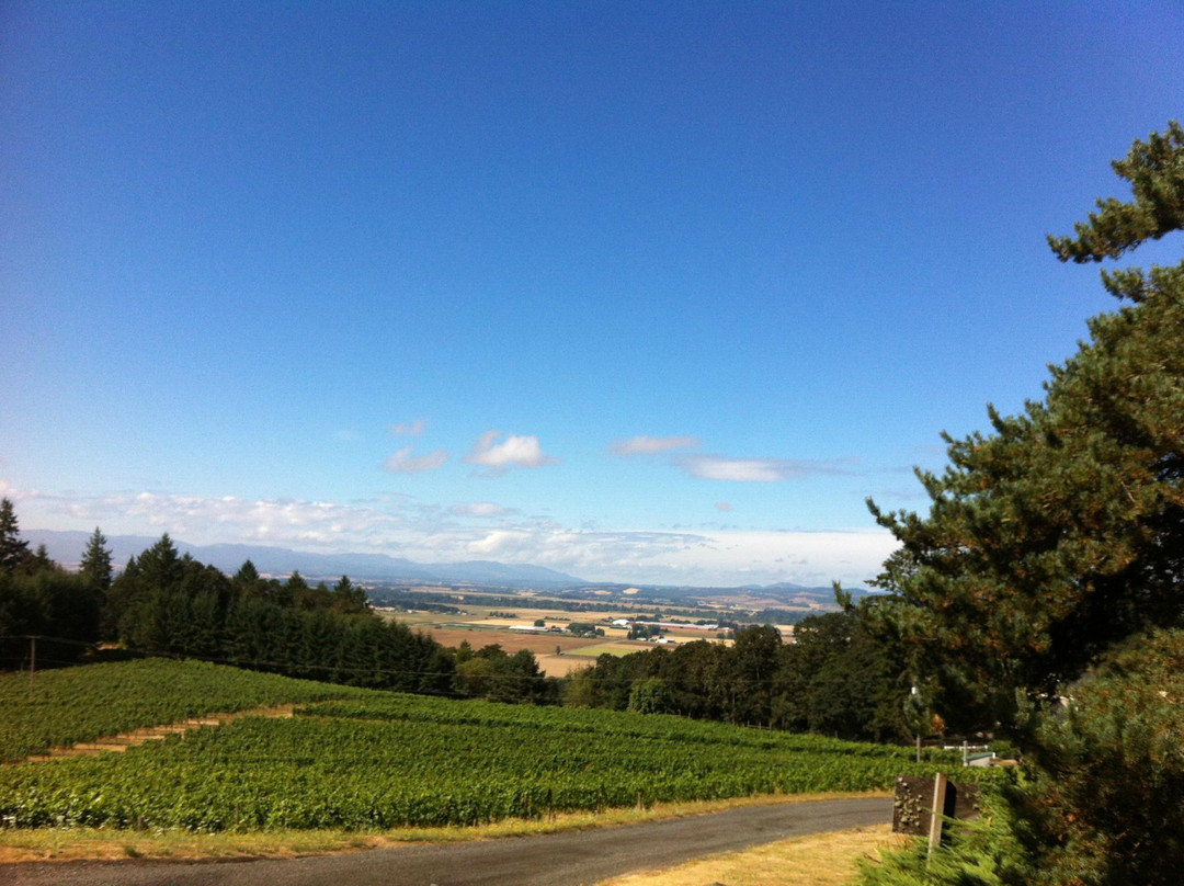 Amity Vineyards-Amity必去景点