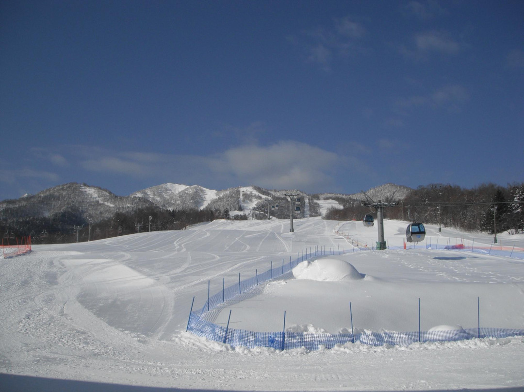 富良野滑雪场-富良野市必去景点