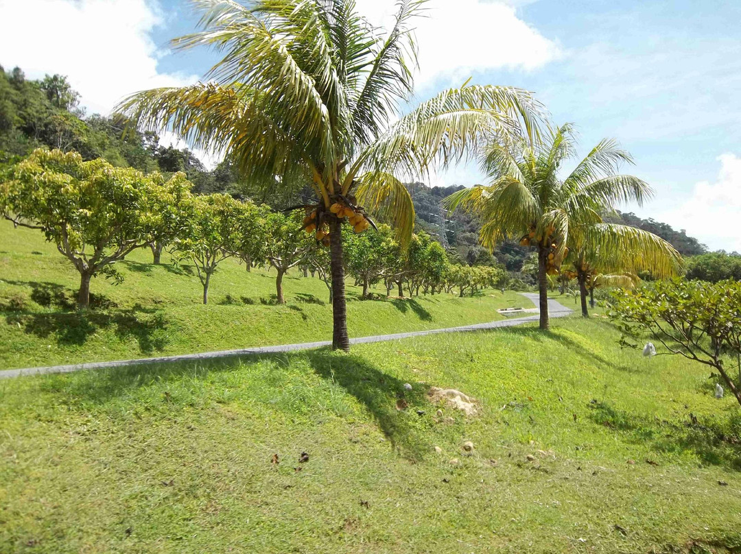 MARDI Langkawi Agro Technology Park景点图片