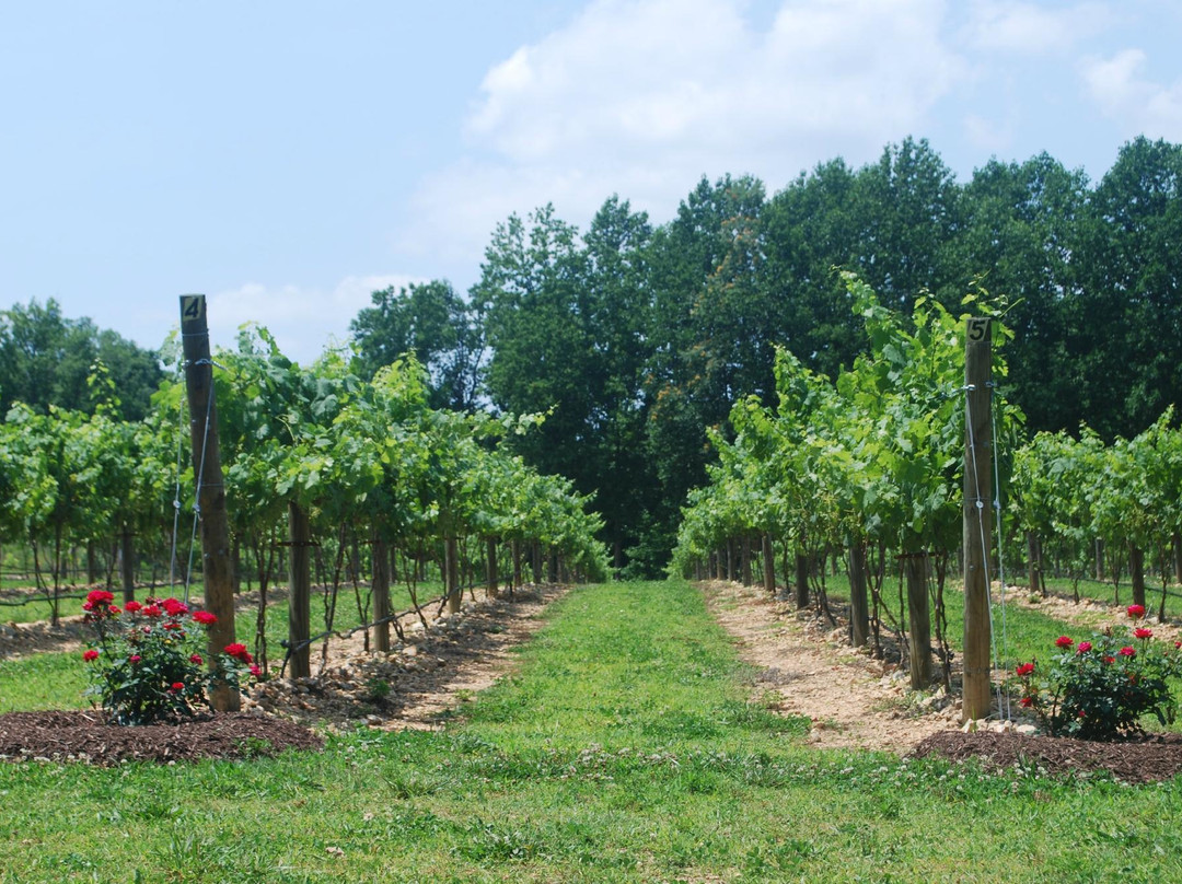 Natchez Hills Vineyard-Hampshire必去景点