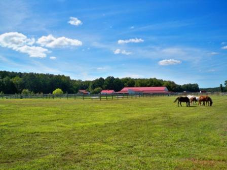 Holly Ridge Farm Equestrian Center-Willards必去景点