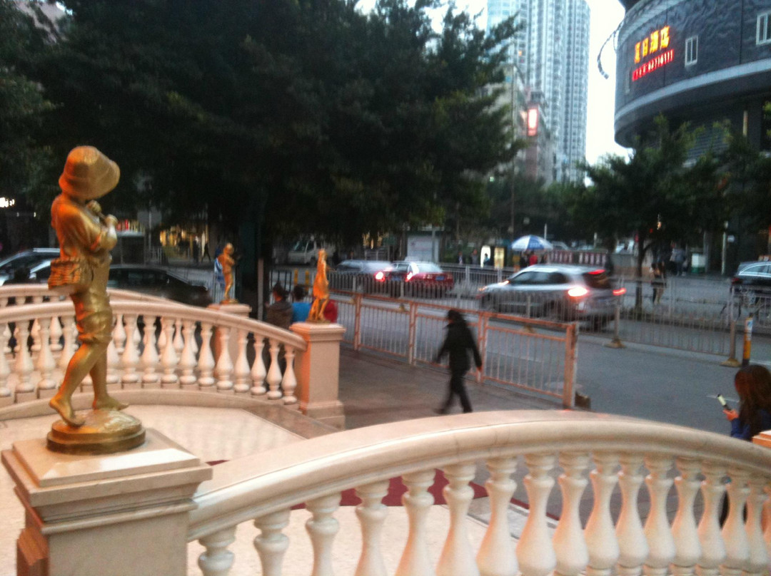 深圳维也纳酒店国际店主图