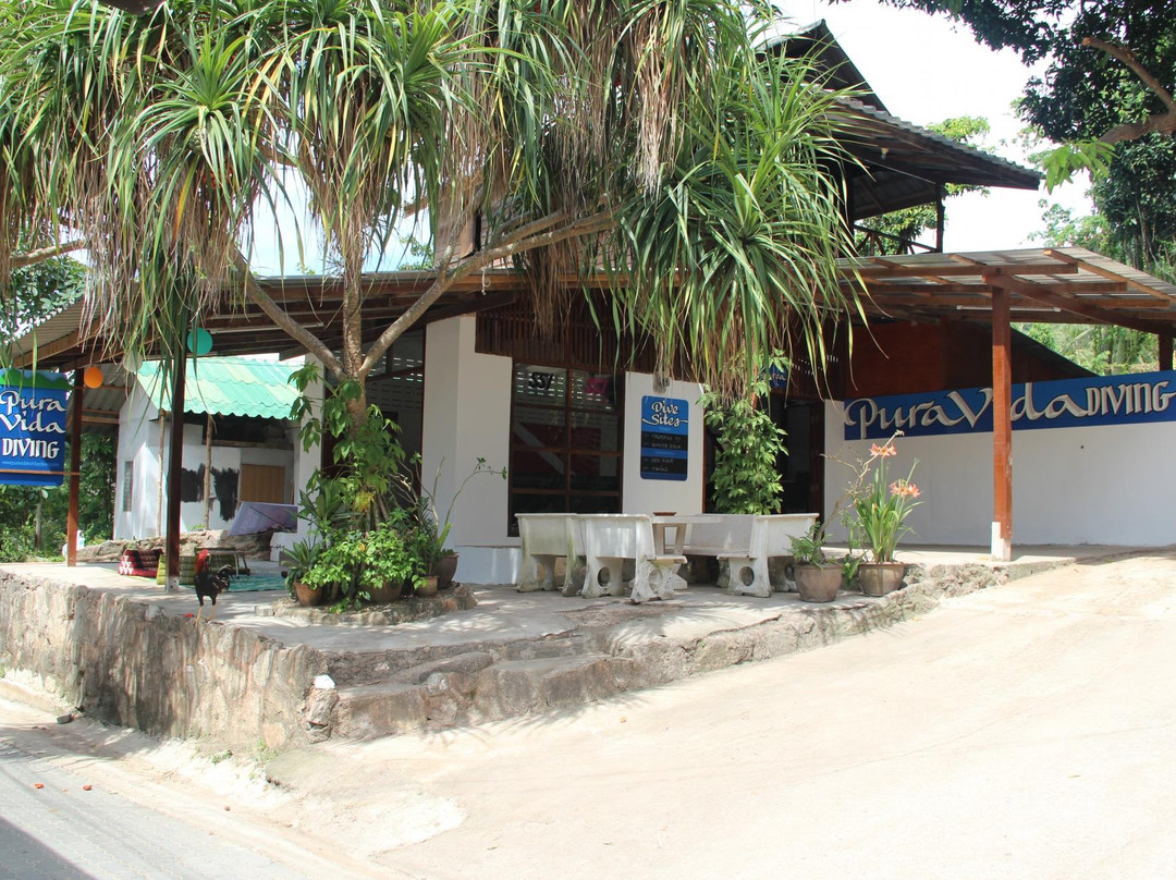 Pura Vida Diving-涛岛必去景点