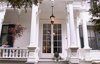 The Horned Dorset Inn-官方
