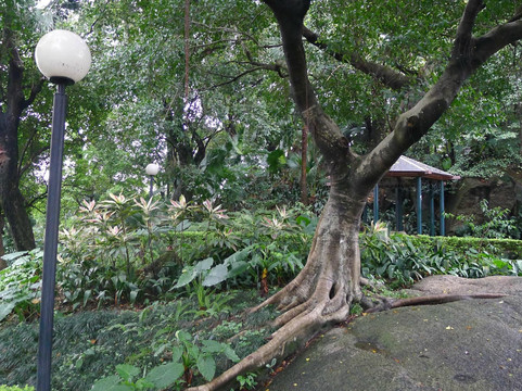 白鸽巢前地-澳门必去景点