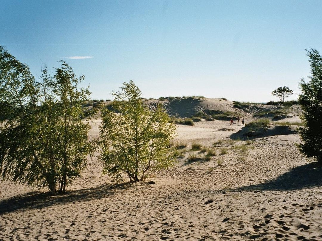 Yyteri Beach-Pori必去景点