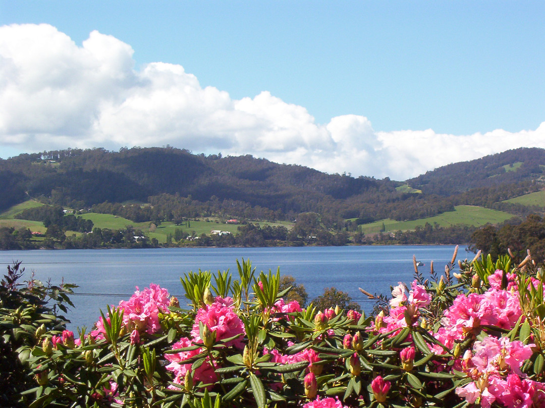 Castle Forbes Bay旅游攻略图片