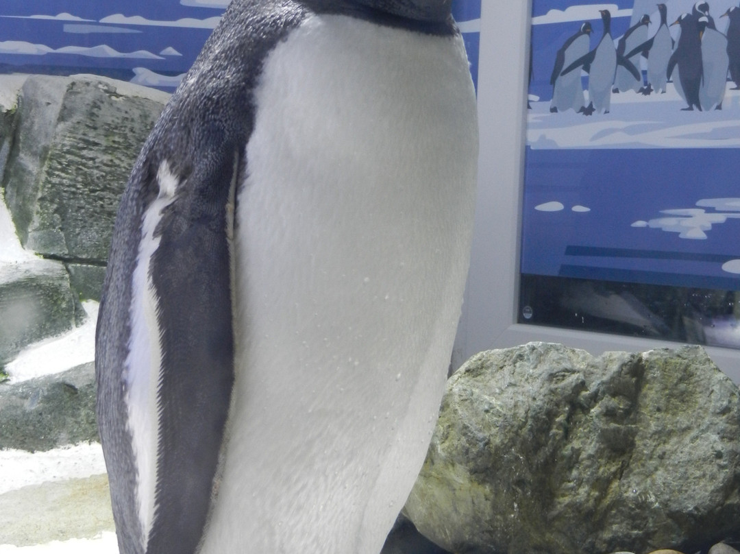 SEA LIFE Konstanz-康士坦茨必去景点