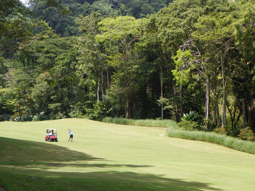 Tee Times Costa Rica Golf Tours景点图片