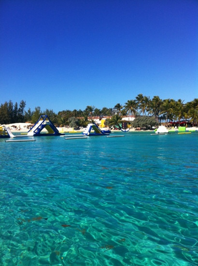 Dolphin Encounters-拿骚必去景点